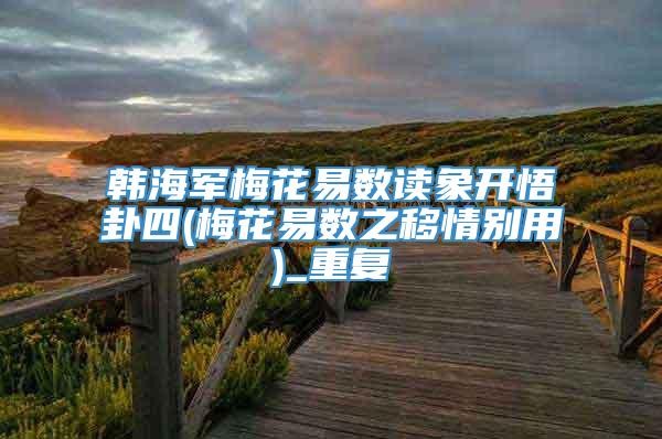 韩海军梅花易数读象开悟卦四(梅花易数之移情别用)_重复