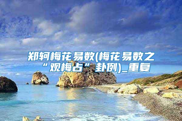 郑轲梅花易数(梅花易数之“观梅占”卦例)_重复