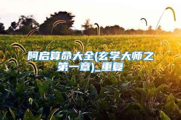 阿启算命大全(玄学大师之第一章)_重复