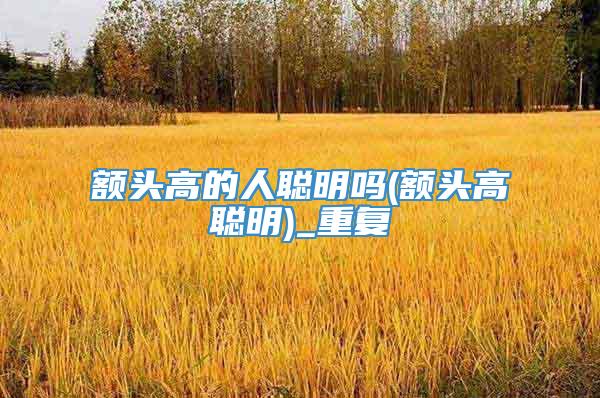 额头高的人聪明吗(额头高聪明)_重复