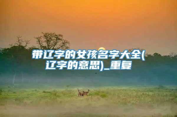 带辽字的女孩名字大全(辽字的意思)_重复