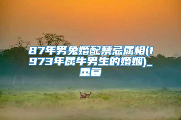 87年男兔婚配禁忌属相(1973年属牛男生的婚姻)_重复