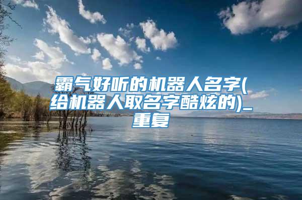霸气好听的机器人名字(给机器人取名字酷炫的)_重复
