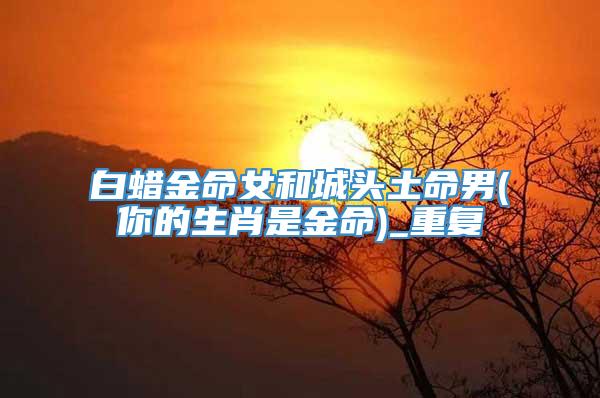白蜡金命女和城头土命男(你的生肖是金命)_重复