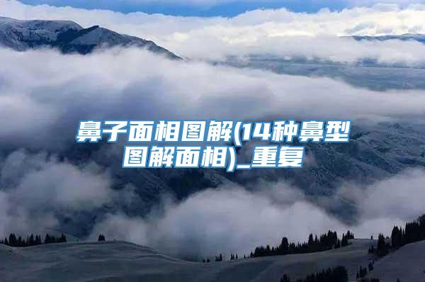 鼻子面相图解(14种鼻型图解面相)_重复