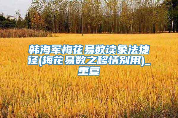 韩海军梅花易数读象法捷径(梅花易数之移情别用)_重复