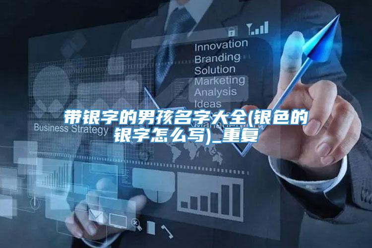 带银字的男孩名字大全(银色的银字怎么写)_重复