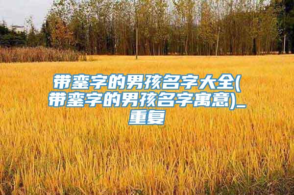 带銮字的男孩名字大全(带銮字的男孩名字寓意)_重复