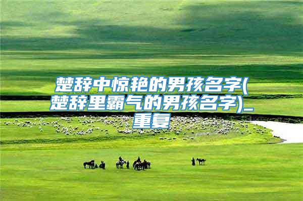 楚辞中惊艳的男孩名字(楚辞里霸气的男孩名字)_重复