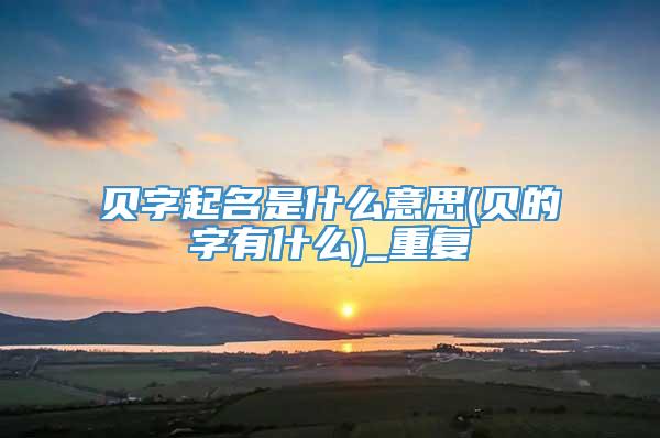 贝字起名是什么意思(贝的字有什么)_重复