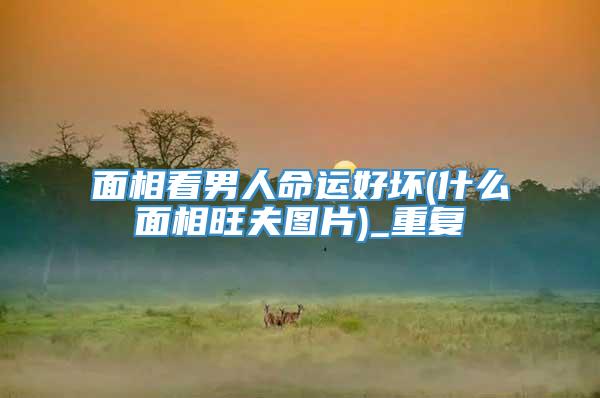 面相看男人命运好坏(什么面相旺夫图片)_重复