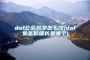 dnf公会名字怎么改(dnf女圣职团长是哪个)