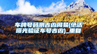 车牌号码测吉凶周易(绝活曝光验证车号吉凶)_重复