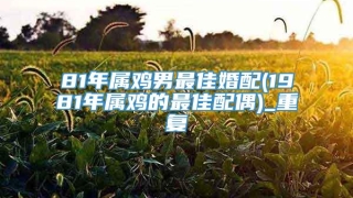 81年属鸡男最佳婚配(1981年属鸡的最佳配偶)_重复
