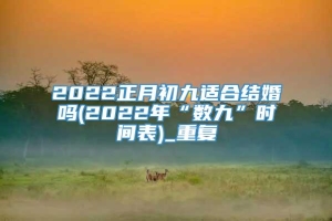 2022正月初九适合结婚吗(2022年“数九”时间表)_重复
