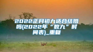 2022正月初九适合结婚吗(2022年“数九”时间表)_重复