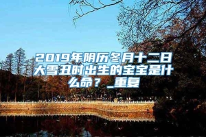 2019年阴历冬月十二日大雪丑时出生的宝宝是什么命？_重复