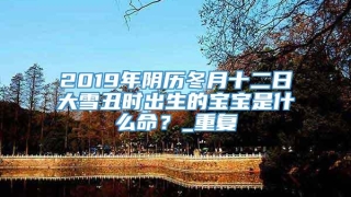 2019年阴历冬月十二日大雪丑时出生的宝宝是什么命?_重复