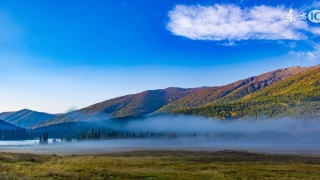 八字的地支代表什么(八字中的天干地支之解释)