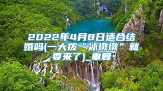 2022年4月8日适合结婚吗(一大拨“冰墩墩”就要来了)_重复