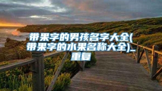 带果字的男孩名字大全(带果字的水果名称大全)_重复