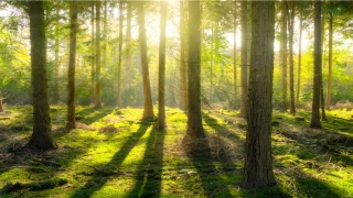 梦到路被挡住过不去(梦到路被挡住过不去绕路走)