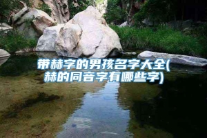 带赫字的男孩名字大全(赫的同音字有哪些字)