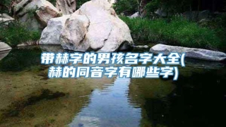 带赫字的男孩名字大全(赫的同音字有哪些字)