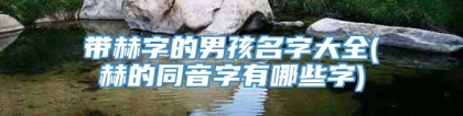 带赫字的男孩名字大全(赫的同音字有哪些字)