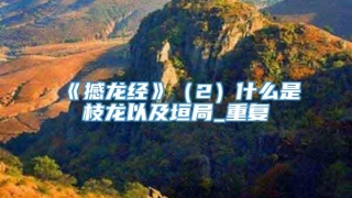 《撼龙经》（2）什么是枝龙以及垣局_重复
