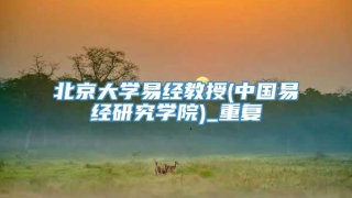 北京大学易经教授(中国易经研究学院)_重复