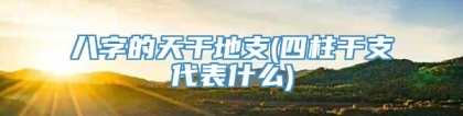 八字的天干地支(四柱干支代表什么)