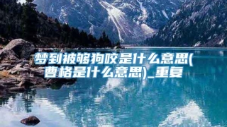 梦到被够狗咬是什么意思(曹格是什么意思)_重复
