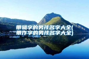 带辑字的男孩名字大全(带作字的男孩名字大全)