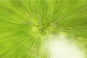 9.30出生的明星(2022年开年)