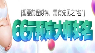 测公司名字算命 免费(免费起名字测试打分)