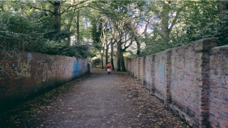 陈取名字大全女孩(其取名字的含意)