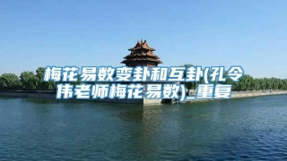 梅花易数变卦和互卦(孔令伟老师梅花易数)_重复