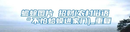 蟾蜍图片 招财(农村俗语“不怕蛤蟆进家门)_重复