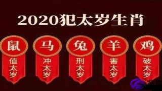 2020年犯太岁运势_重复