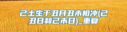 己土生于丑月丑未相冲(己丑日和己未日)_重复