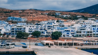 带瑾字的女孩名字(姓胥的女孩名字)