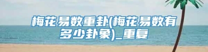 梅花易数重卦(梅花易数有多少卦象)_重复