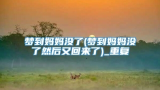 梦到妈妈没了(梦到妈妈没了然后又回来了)_重复