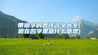 带琅字的男孩名字大全(琅在名字里是什么意思)