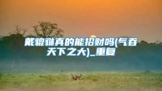 戴貔貅真的能招财吗(气吞天下之大)_重复