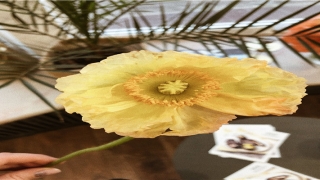 带潼字纯粹好名字(潼是什么意思用在名字上)