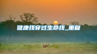 健康线穿过生命线_重复