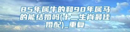 85年属牛的和90年属马的能结婚吗(十二生肖最佳婚配)_重复