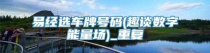 易经选车牌号码(趣谈数字能量场)_重复
